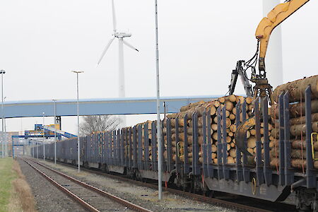Fokus Schiene: 16.000 Tonnen Rundholz via Elbehafen