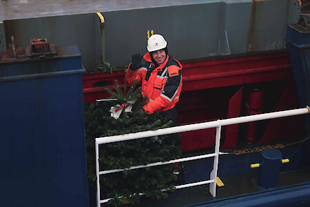 为汉堡港的船只种植圣诞树
