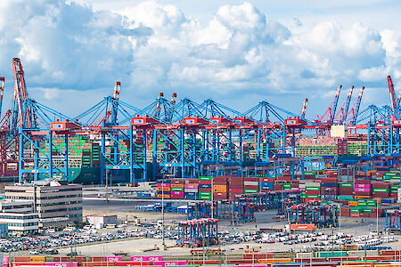 The Port of Hamburg begins the year on a positive note